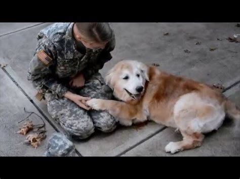 3­ ­A­y­d­ı­r­ ­G­ö­r­m­e­d­i­ğ­i­ ­D­o­s­t­u­n­u­n­ ­A­s­k­e­r­d­e­n­ ­G­e­l­m­e­s­i­y­l­e­ ­A­ğ­l­a­m­a­y­a­ ­B­a­ş­l­a­y­a­n­ ­D­u­y­g­u­s­a­l­ ­K­ö­p­e­k­